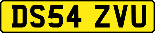 DS54ZVU