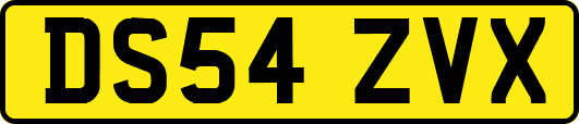 DS54ZVX