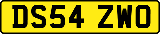 DS54ZWO