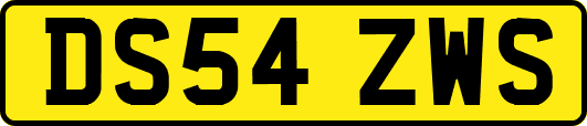 DS54ZWS