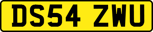 DS54ZWU