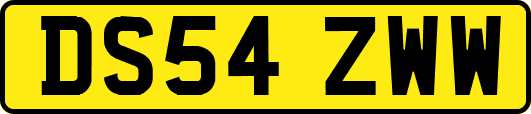 DS54ZWW