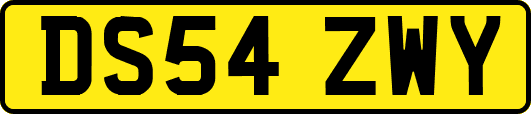 DS54ZWY