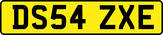 DS54ZXE