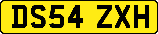 DS54ZXH