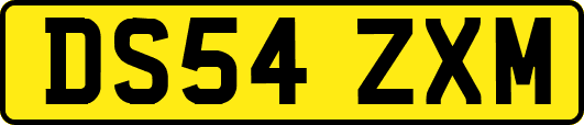 DS54ZXM