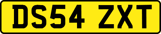 DS54ZXT