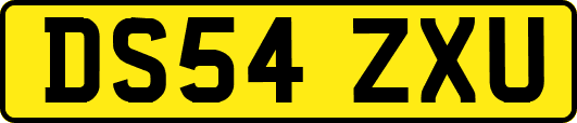 DS54ZXU