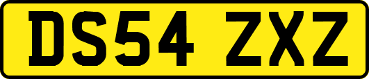 DS54ZXZ