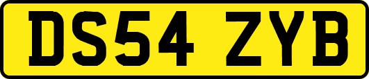 DS54ZYB