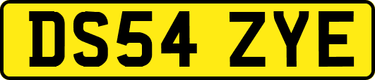 DS54ZYE