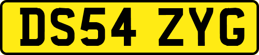 DS54ZYG