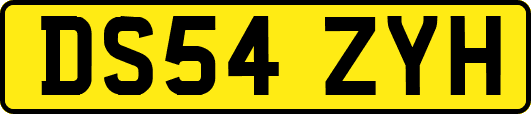 DS54ZYH
