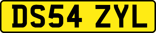 DS54ZYL