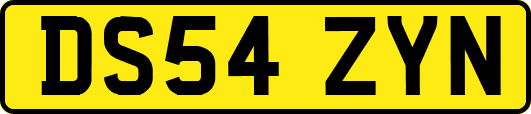 DS54ZYN