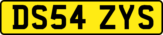 DS54ZYS