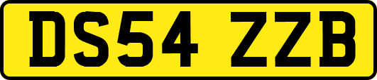 DS54ZZB