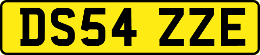 DS54ZZE