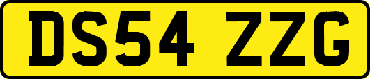 DS54ZZG