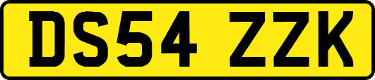 DS54ZZK