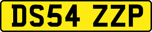 DS54ZZP