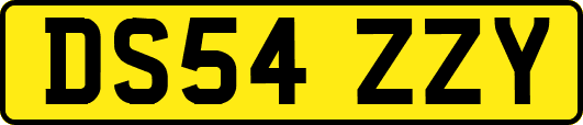 DS54ZZY