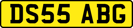 DS55ABG