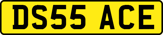 DS55ACE