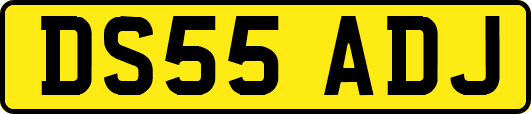 DS55ADJ