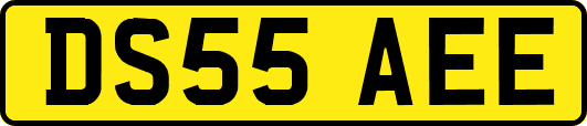 DS55AEE