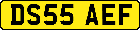 DS55AEF