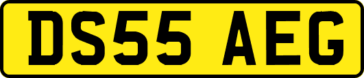 DS55AEG