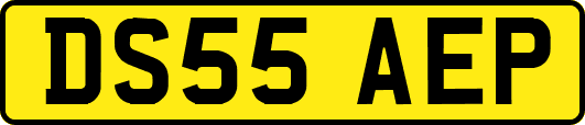 DS55AEP