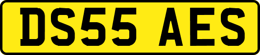 DS55AES