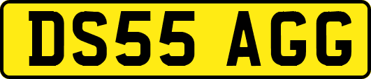 DS55AGG