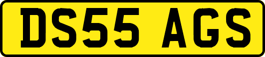 DS55AGS
