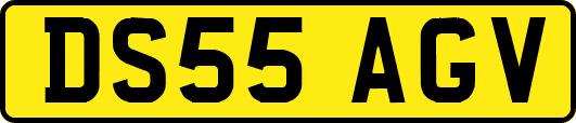 DS55AGV