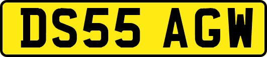 DS55AGW