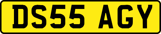DS55AGY