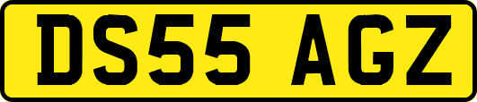 DS55AGZ