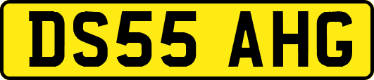 DS55AHG