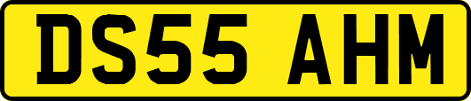 DS55AHM