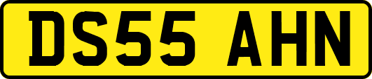 DS55AHN