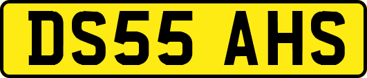 DS55AHS