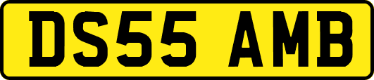 DS55AMB