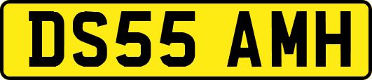 DS55AMH