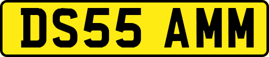 DS55AMM