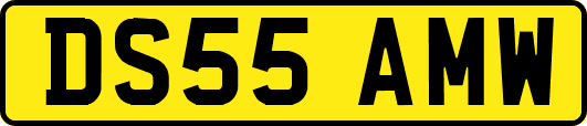 DS55AMW