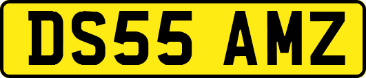 DS55AMZ