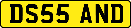 DS55AND